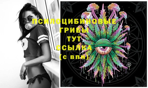 не бодяженный Вяземский