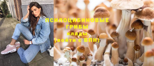 герыч Лиски